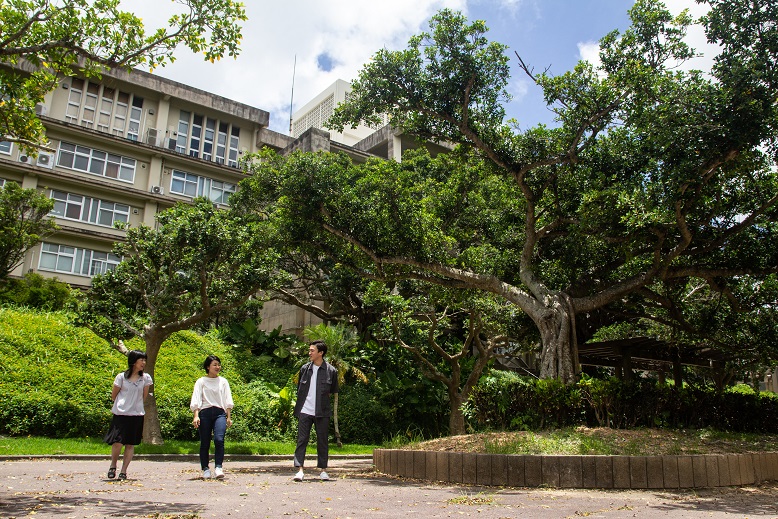 おしゃべり 学部長×学生